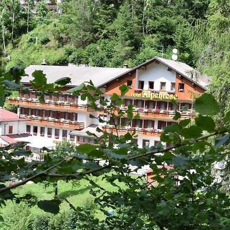 Hotel Alpenrose أليغ المظهر الخارجي الصورة