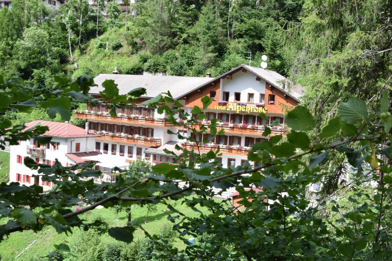 Hotel Alpenrose أليغ المظهر الخارجي الصورة